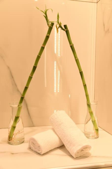 Syntagma Square, 30sqm Nikis Luxurious *